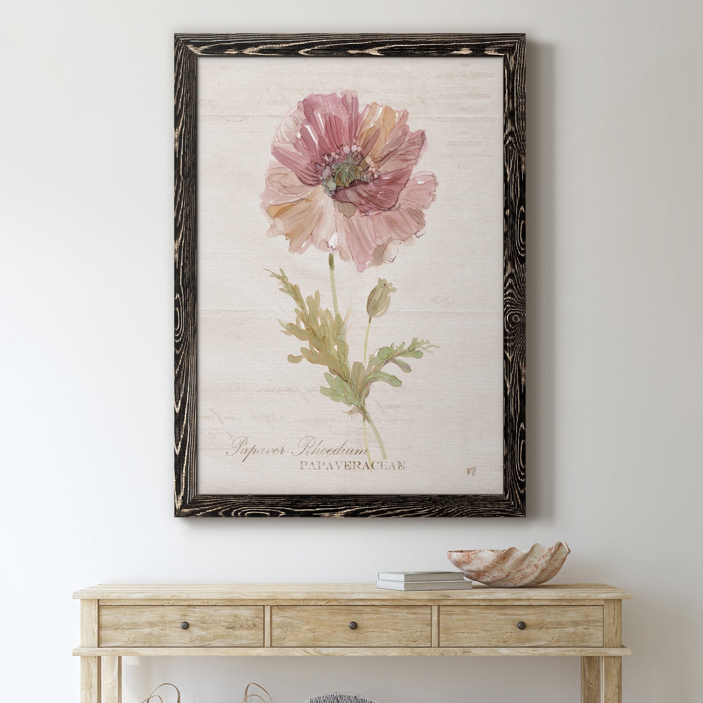 Soft Poppy - Premium Canvas Framed in Barnwood - Ready to Hang