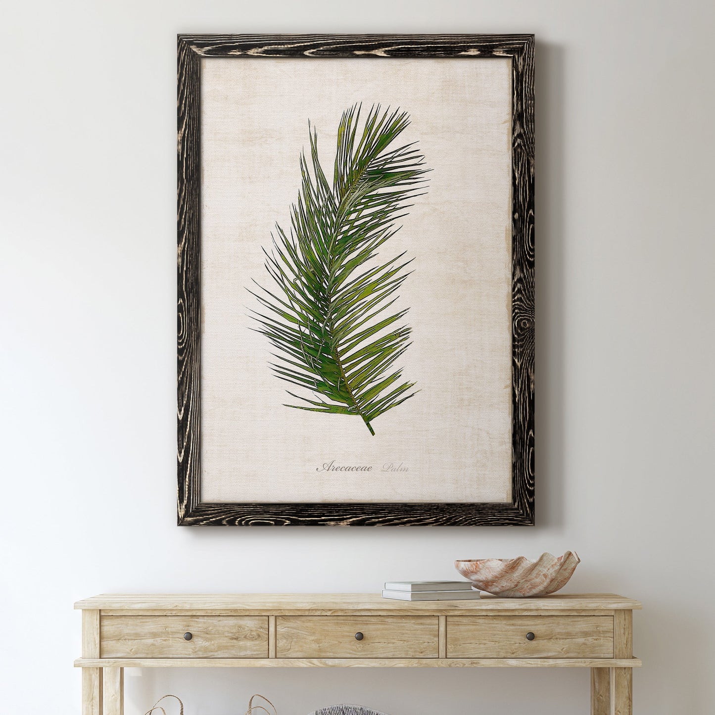 Palm Botanical II - Premium Canvas Framed in Barnwood - Ready to Hang