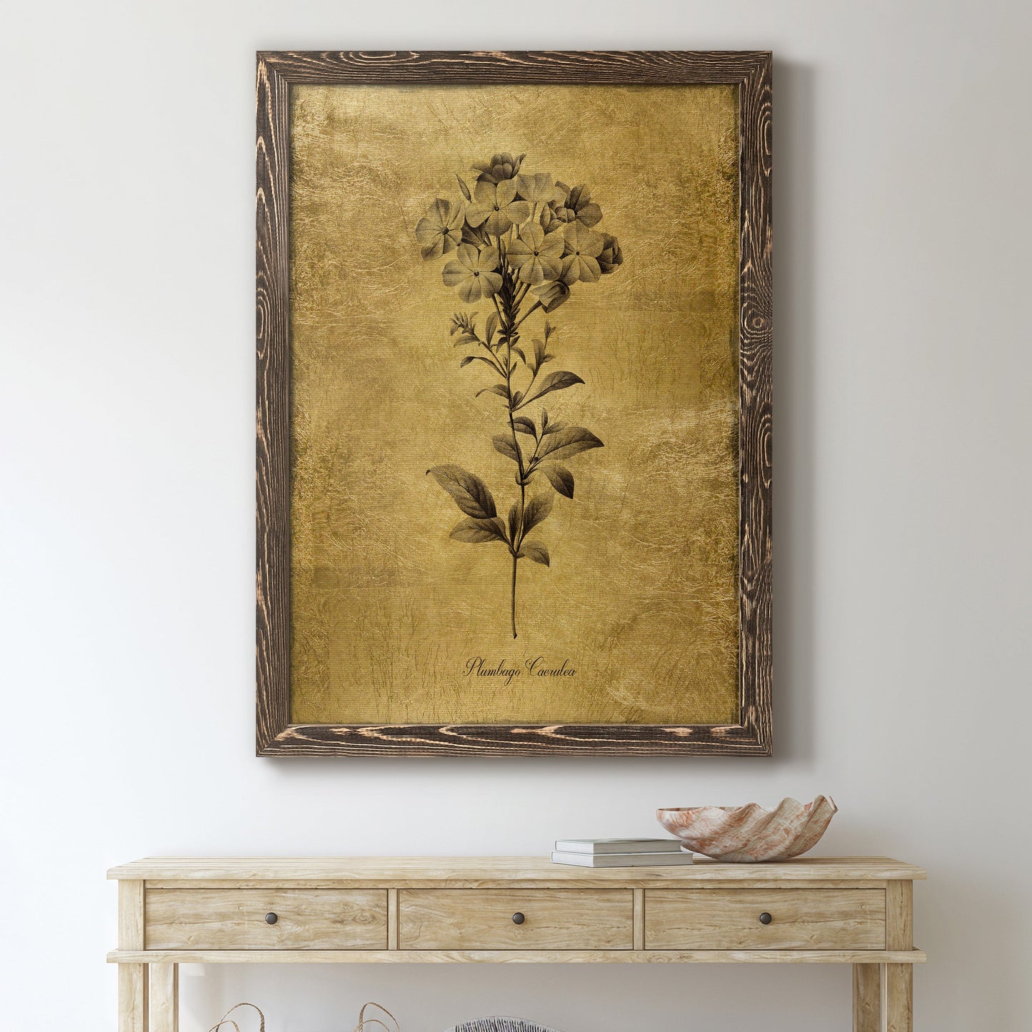 Gold Sketch Botanical II - Barnwood Framed Canvas Print