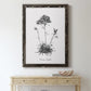 Simply Caladrinia - Premium Canvas Framed in Barnwood - Ready to Hang