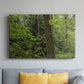 Calm of the Forest - Canvas Art Print