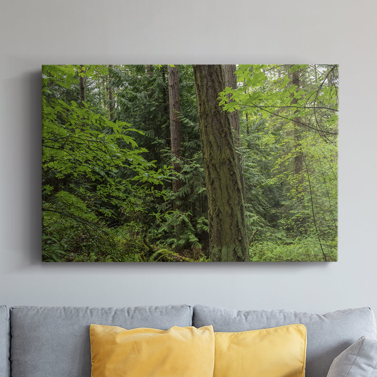 Calm of the Forest - Canvas Art Print