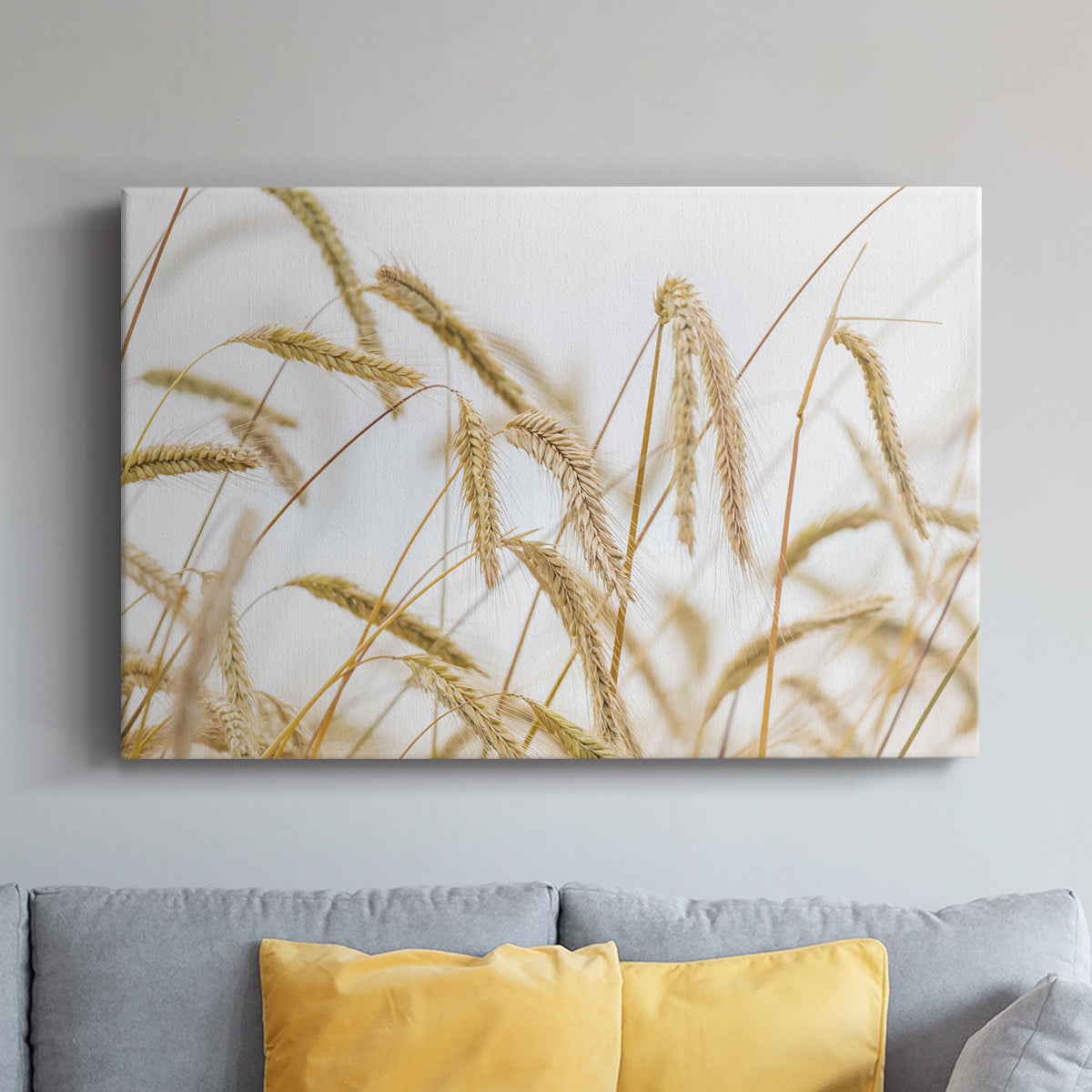Wheat - Canvas Art Print