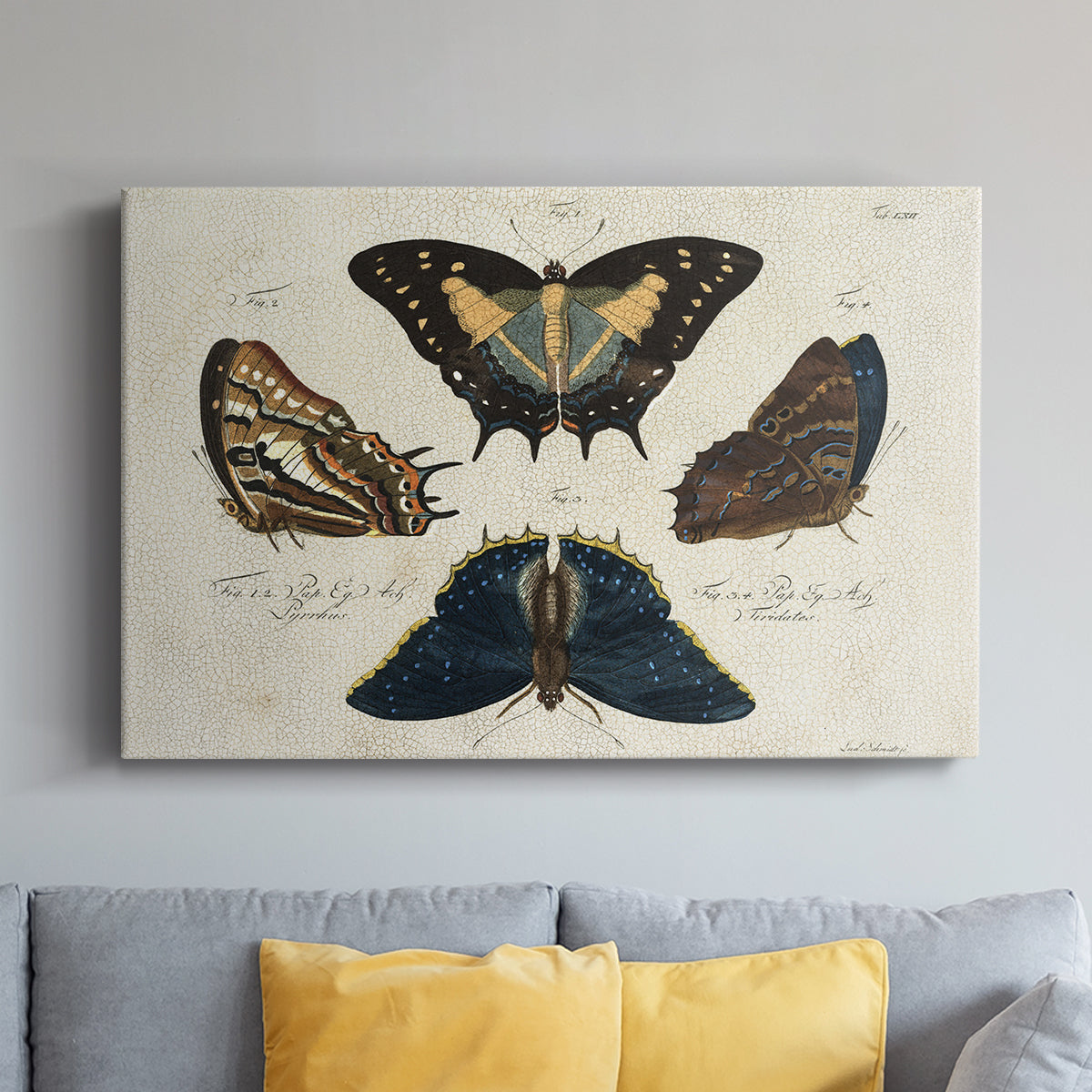 Crackled Butterflies IV - Canvas Art Print
