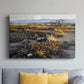 Anza Borrego Desert - Canvas Art Print