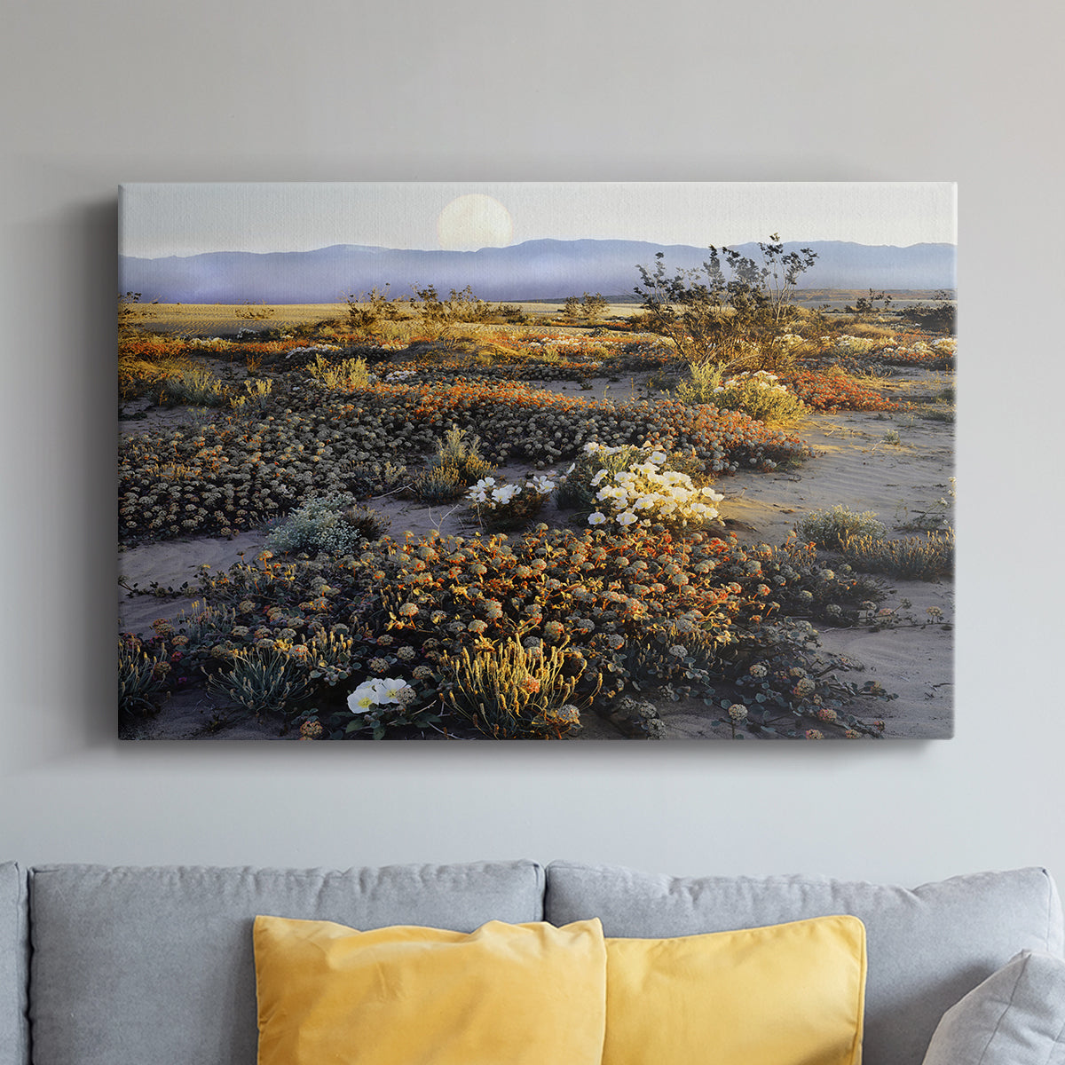 Anza Borrego Desert - Canvas Art Print