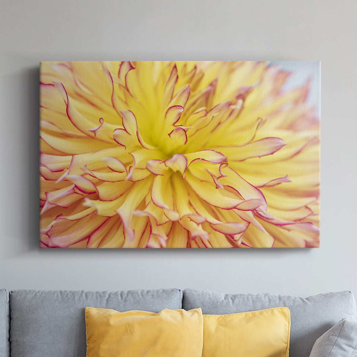Blooms III - Canvas Art Print