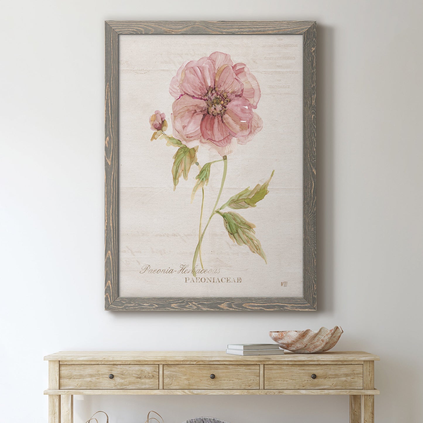 Soft Peony - Premium Canvas Framed in Barnwood - Ready to Hang