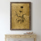 Gold Sketch Botanical I - Premium Canvas Framed in Barnwood - Ready to Hang