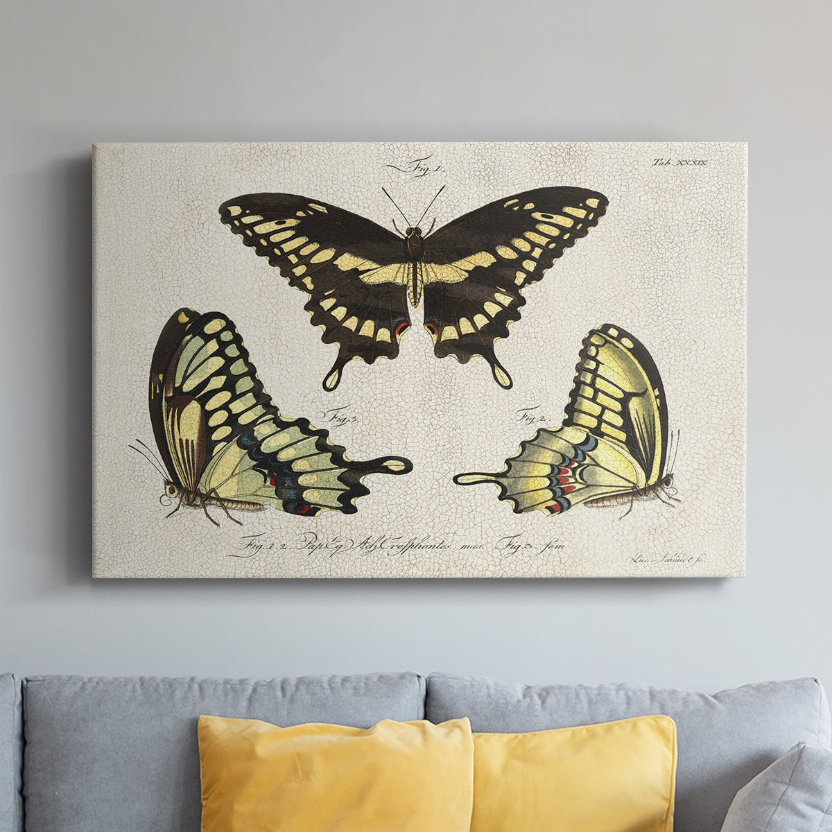 Crackled Butterflies I - Canvas Art Print