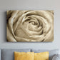 Neutral Wall Flower IV - Canvas Art Print
