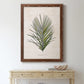 Palm Botanical I - Premium Canvas Framed in Barnwood - Ready to Hang