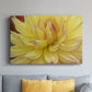 Blooms I - Canvas Art Print