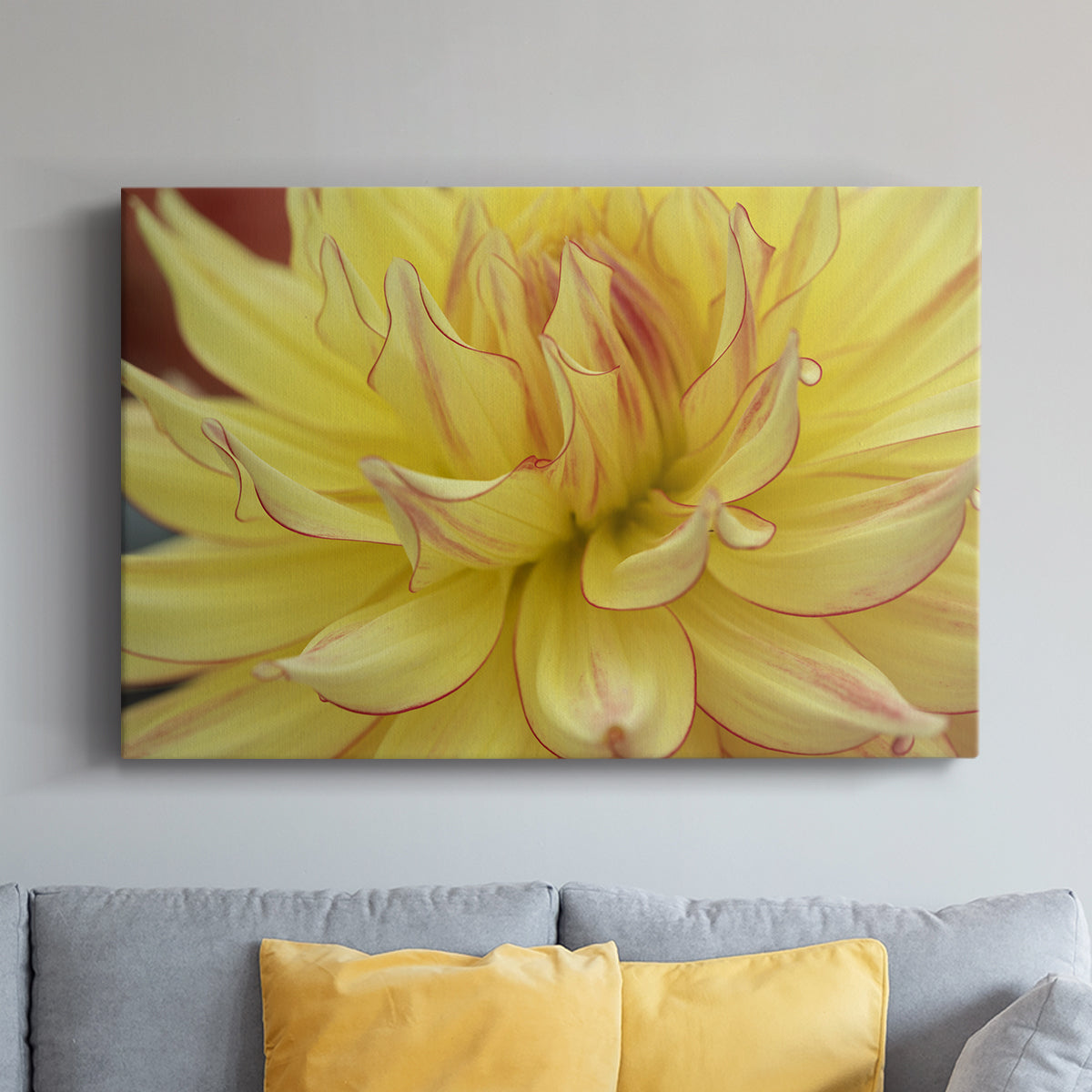 Blooms I - Canvas Art Print