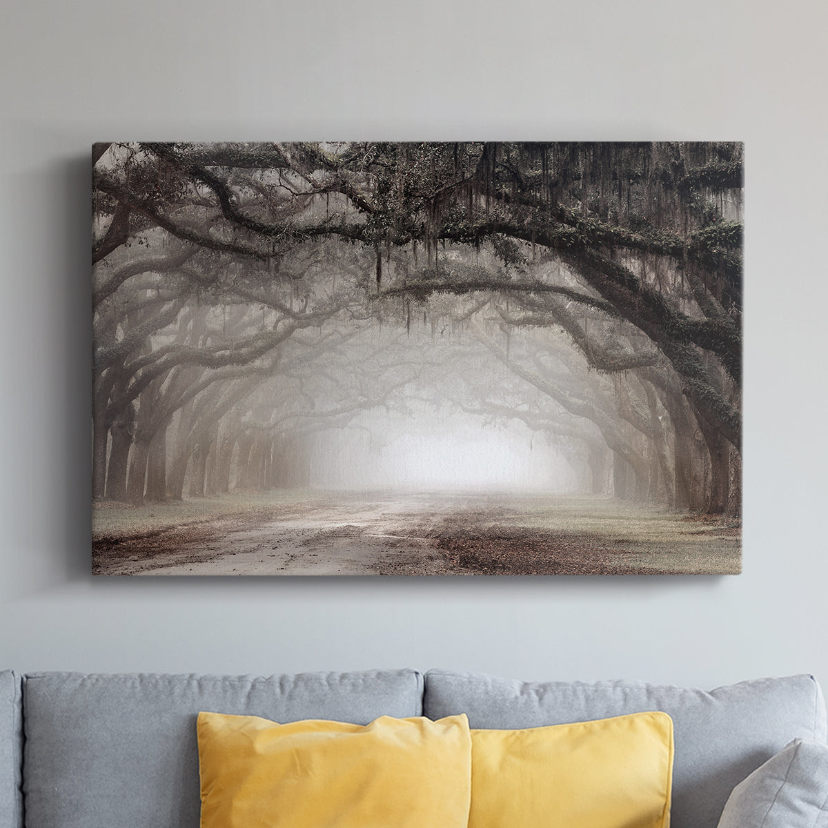 Timeless Plantation Drive - Canvas Art Print