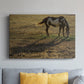 Long Shadow - Canvas Art Print