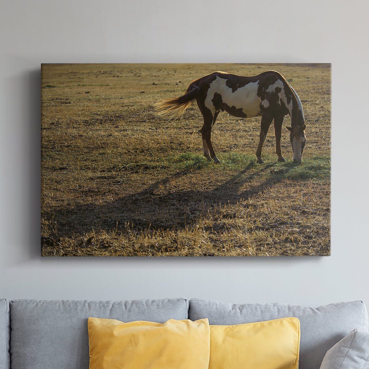 Long Shadow - Canvas Art Print