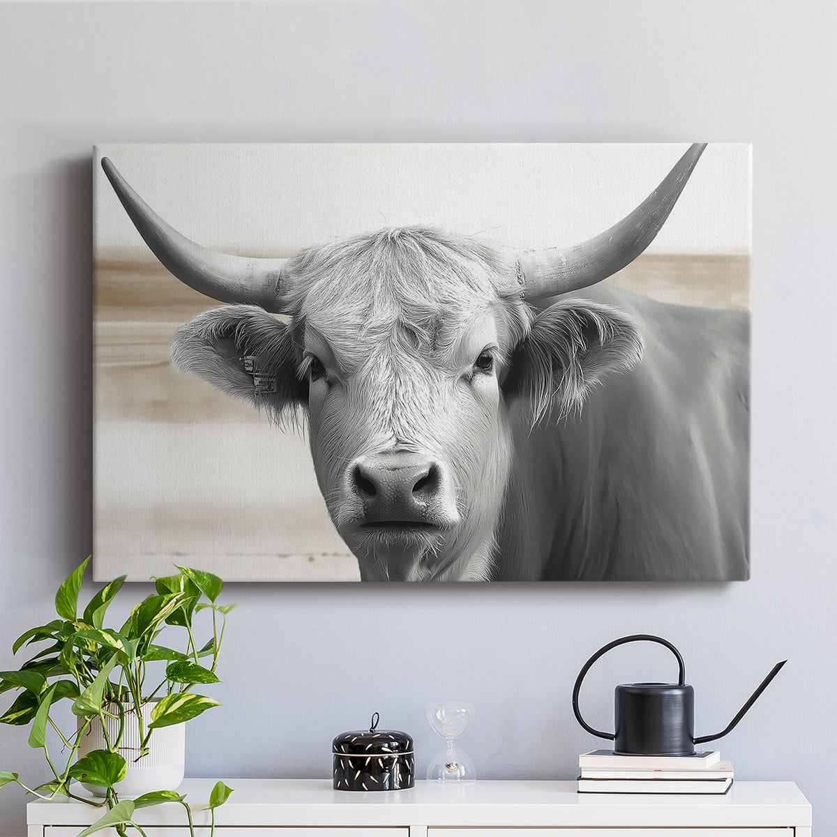 Steer XCI - Canvas Art Print