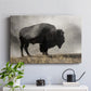 Geyser Basin - Canvas Art Print