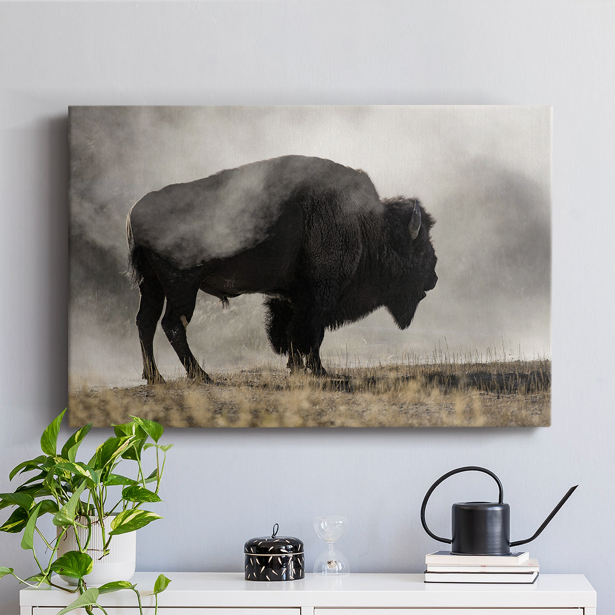 Geyser Basin - Canvas Art Print