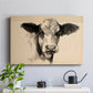 Charcoal Cow II - Canvas Art Print
