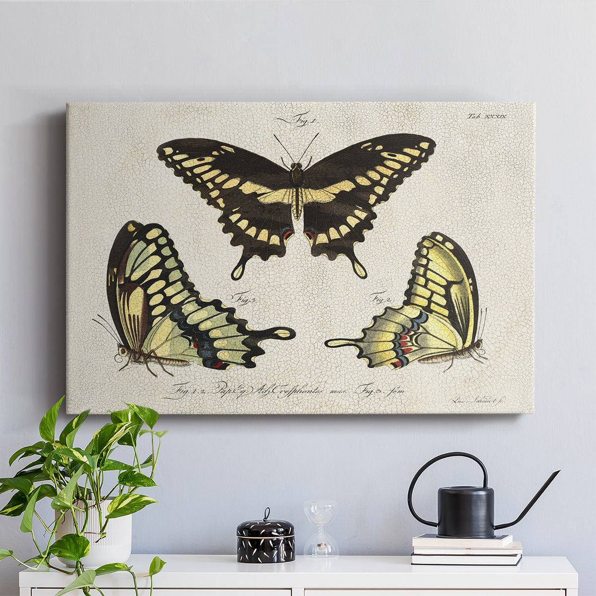 Crackled Butterflies I - Canvas Art Print