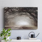 Timeless Plantation Drive - Canvas Art Print
