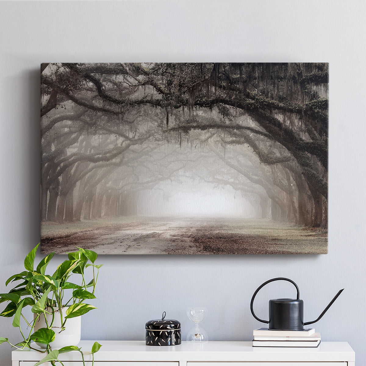 Timeless Plantation Drive - Canvas Art Print