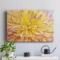 Blooms III - Canvas Art Print