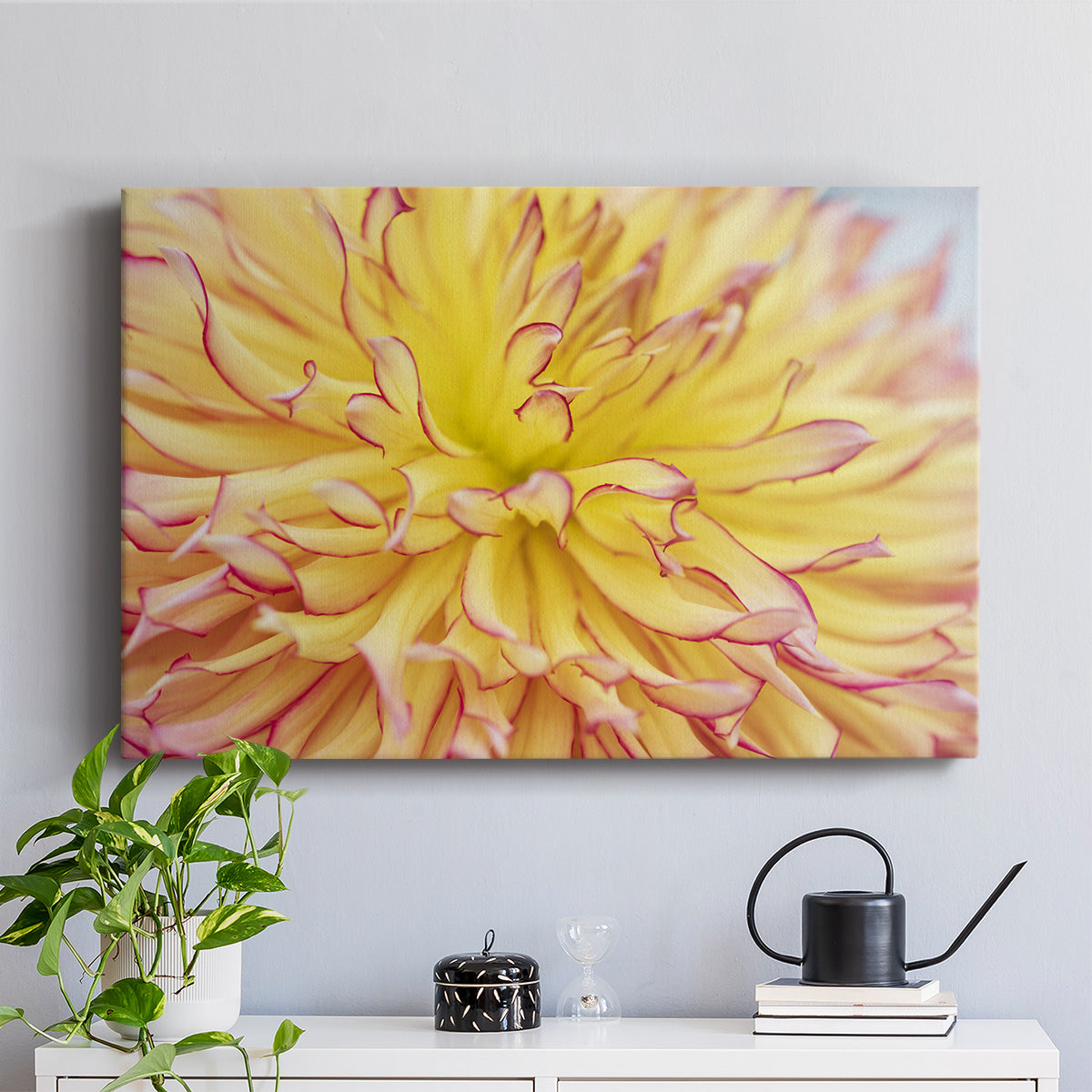 Blooms III - Canvas Art Print
