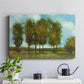 Tall Trees - Canvas Art Print