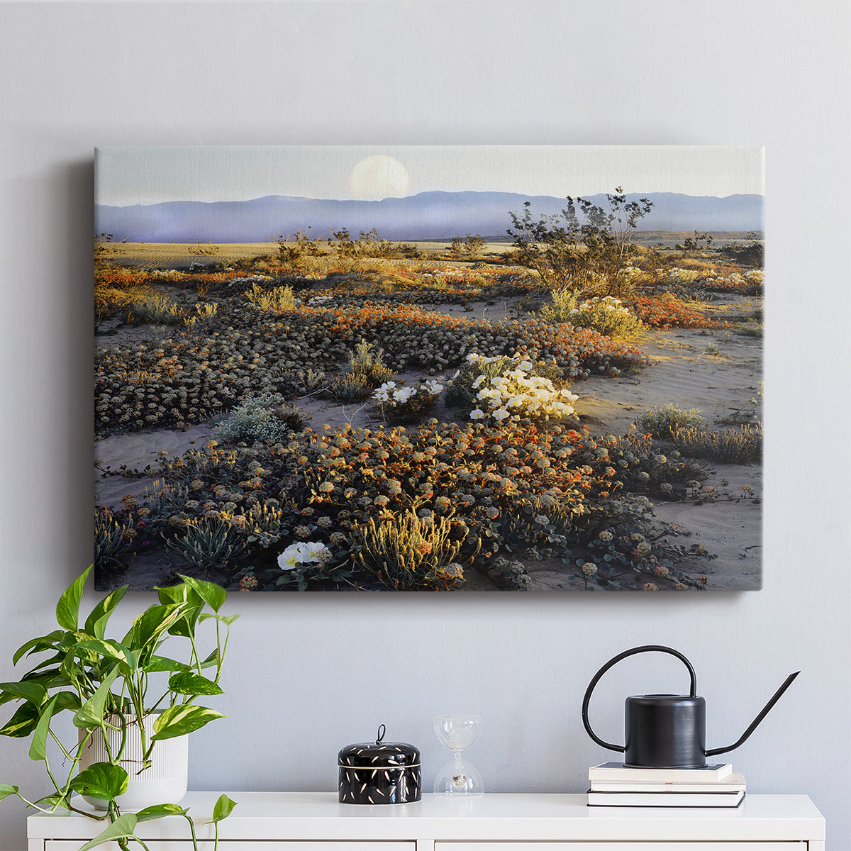 Anza Borrego Desert - Canvas Art Print