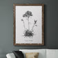 Simply Caladrinia - Premium Canvas Framed in Barnwood - Ready to Hang