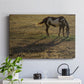 Long Shadow - Canvas Art Print