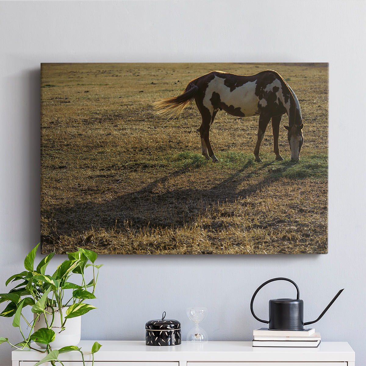 Long Shadow - Canvas Art Print