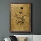 Gold Sketch Botanical I - Premium Canvas Framed in Barnwood - Ready to Hang