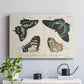 Crackled Butterflies III - Canvas Art Print