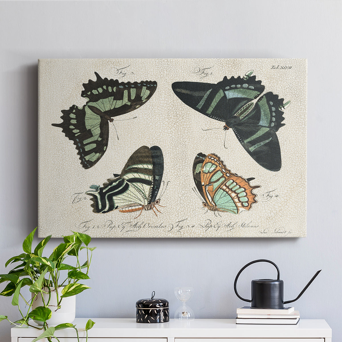 Crackled Butterflies III - Canvas Art Print