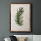 Palm Botanical II - Premium Canvas Framed in Barnwood - Ready to Hang