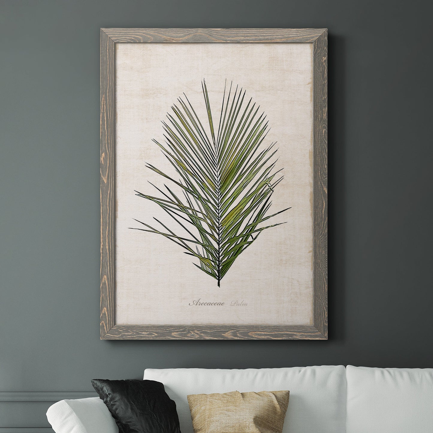 Palm Botanical I - Premium Canvas Framed in Barnwood - Ready to Hang