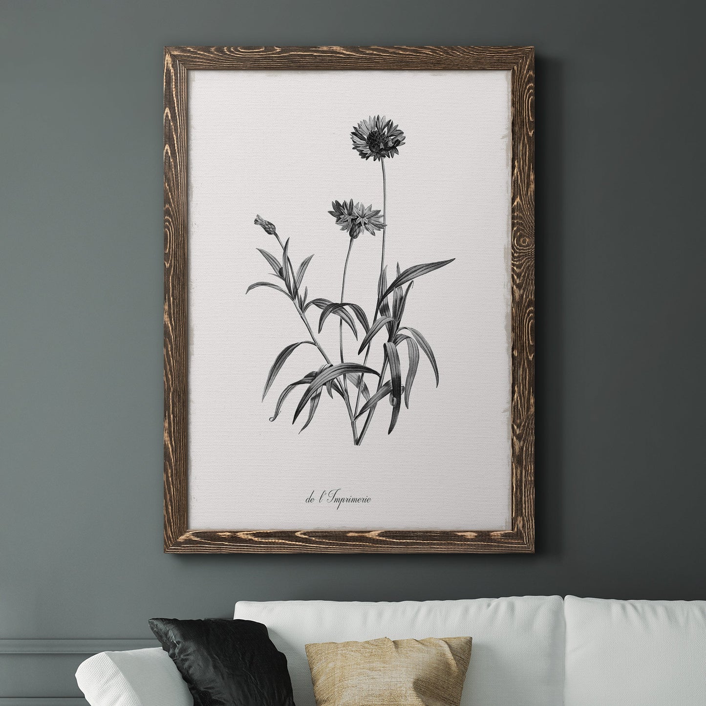 Simply Imperial - Premium Canvas Framed in Barnwood - Ready to Hang