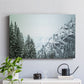 Snowfall in Cascadia II V1 - Canvas Art Print