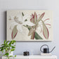 Amaryllis Varietals II - Canvas Art Print