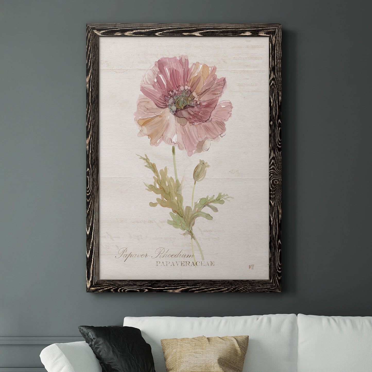 Soft Poppy - Premium Canvas Framed in Barnwood - Ready to Hang