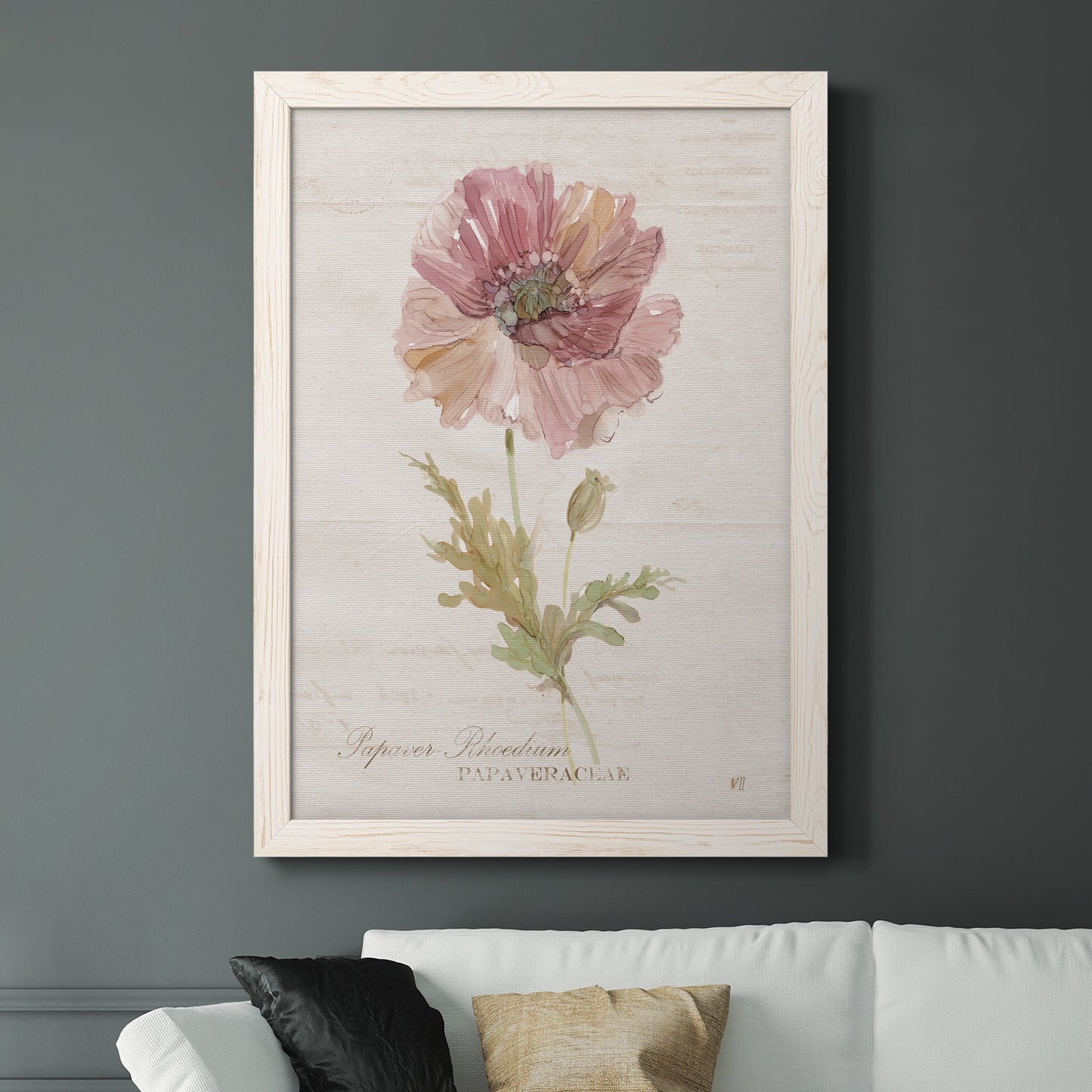 Soft Poppy - Premium Canvas Framed in Barnwood - Ready to Hang