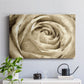 Neutral Wall Flower IV - Canvas Art Print