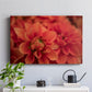 Spring Fire - Canvas Art Print
