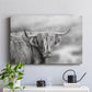 Roaming Isle of Skye - Canvas Art Print