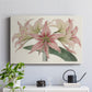 Amaryllis Varietals I - Canvas Art Print