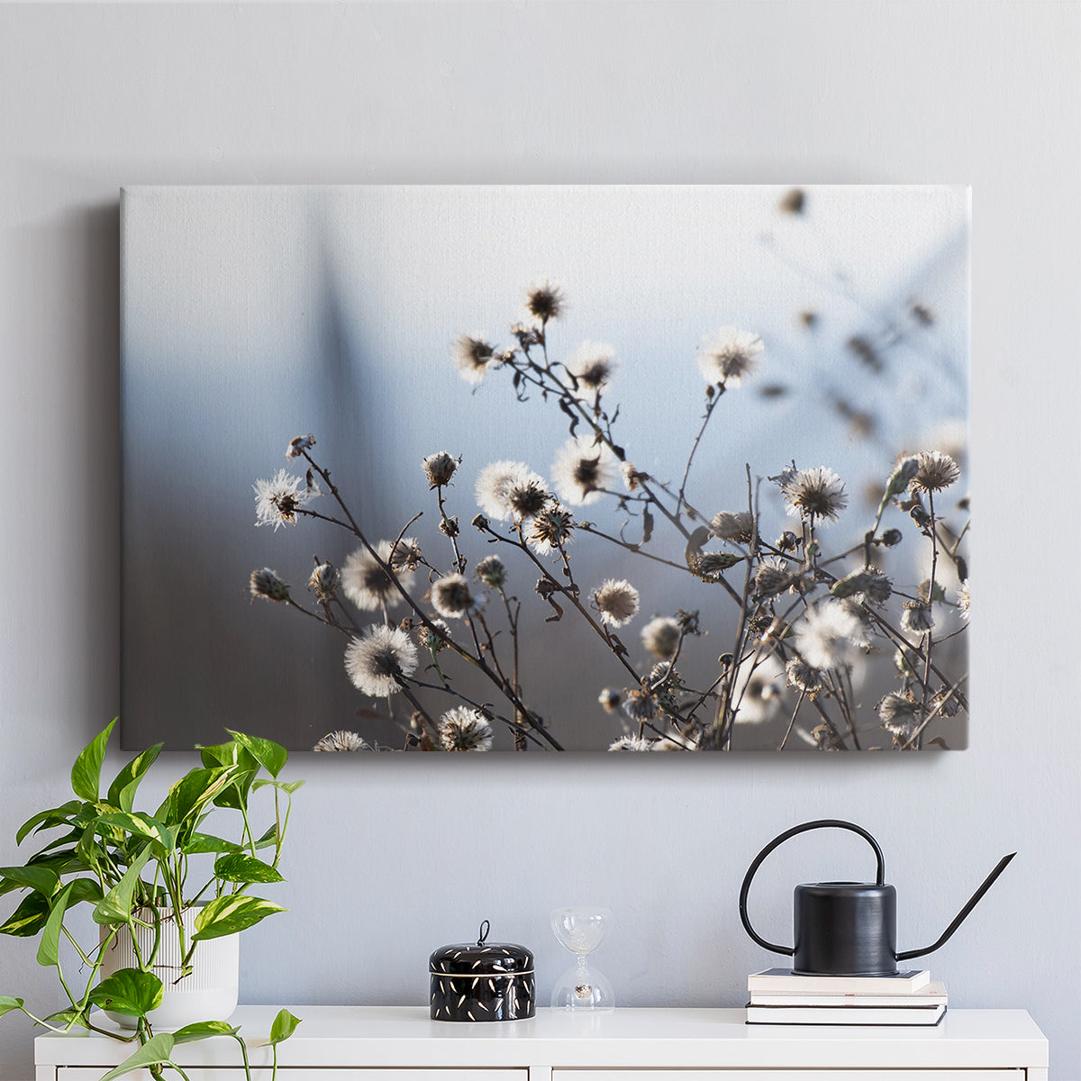 Spring Fluff - Canvas Art Print